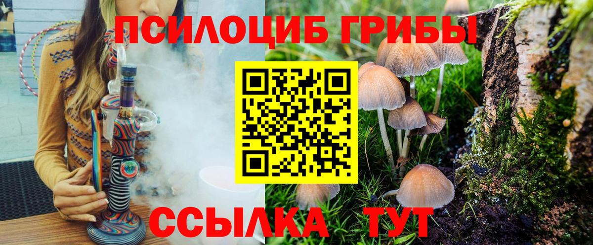 Тверь  Псилоцибиновые грибы GOLDEN TEACHER  Вход с VPN 