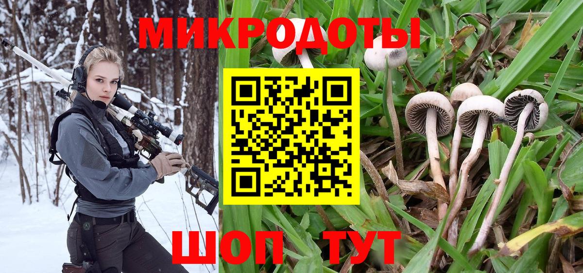 Галлюциногенные грибы GOLDEN TEACHER Тверь